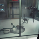 Image for article titled Three Hours With Prey